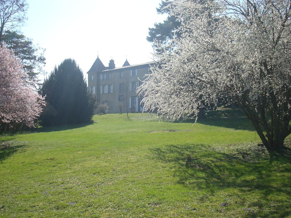 Chateau De Bourrassol Bed & Breakfast Menetrol Екстериор снимка